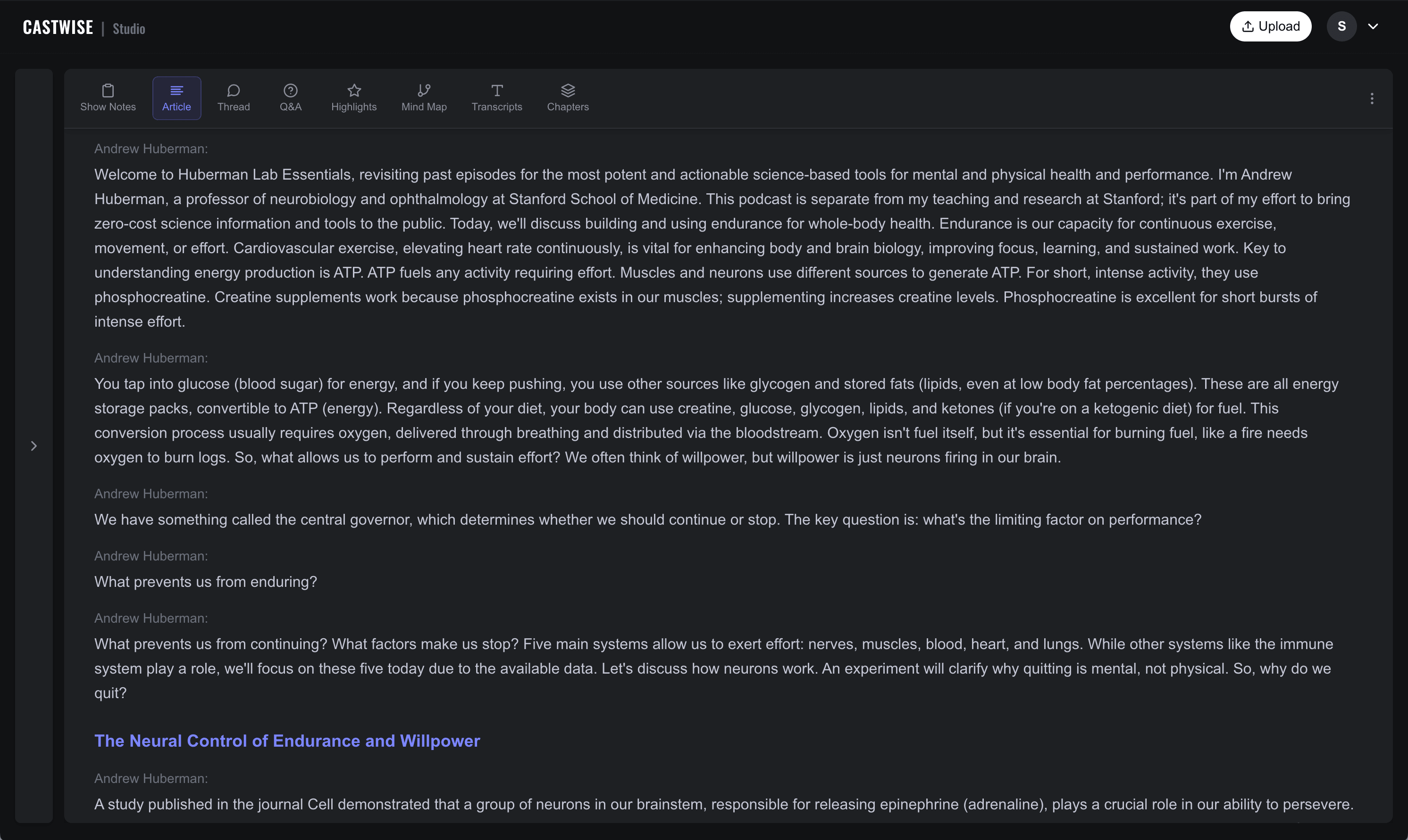 Castwise Article Generation Interface Screenshot