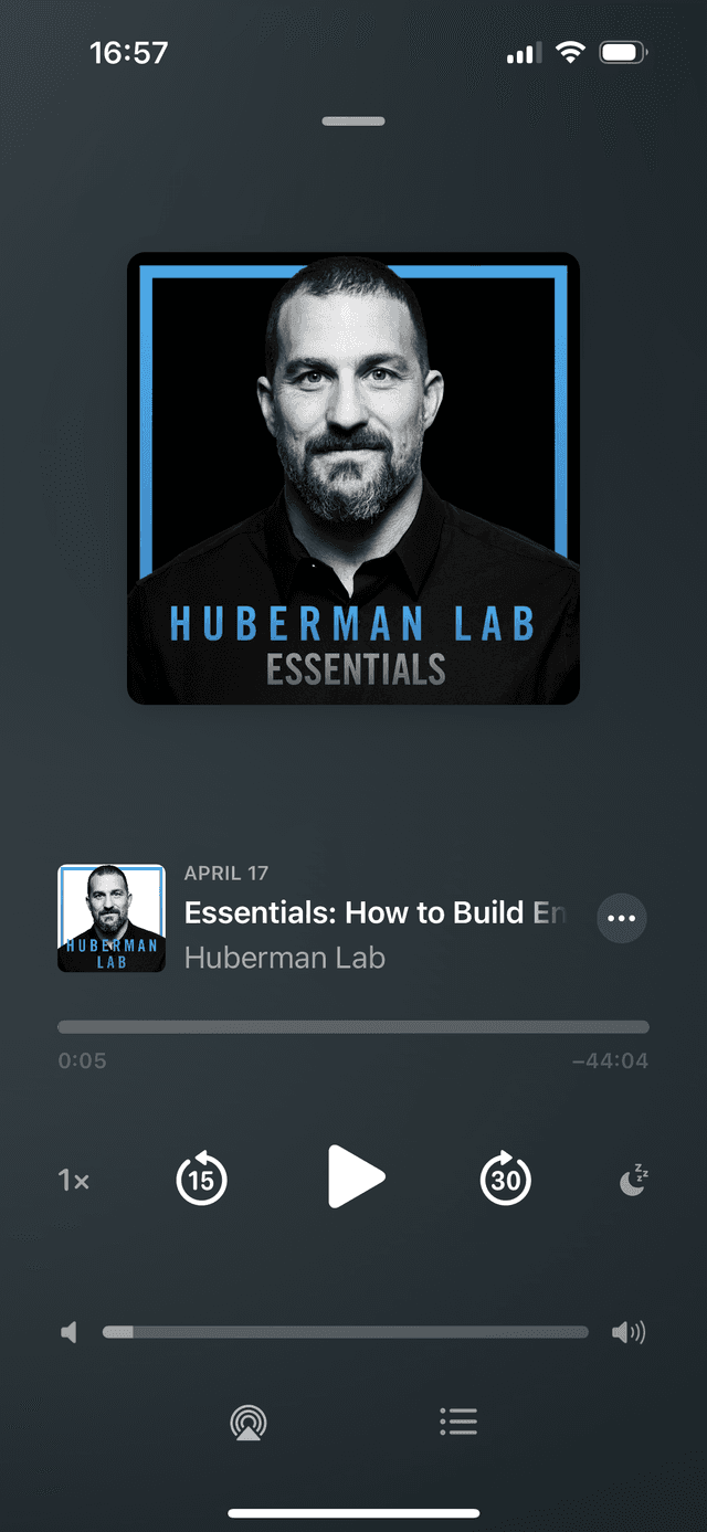 Huberman Podcast Screenshot
